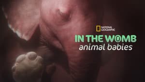 In the Womb: Animal Babies — foto 7