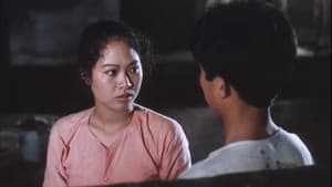 Thương nhớ đồng quê — foto 6