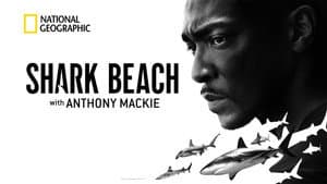 Shark Beach with Anthony Mackie — foto 2
