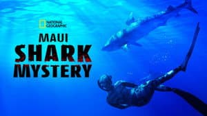 Maui Shark Mystery — foto 7