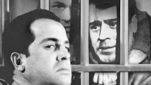 You Can't Beat the Law — foto 1