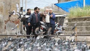 Shokouhe Khamoush — foto 1