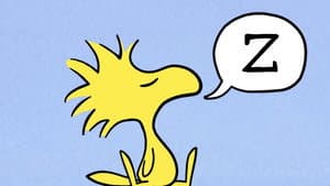 Episodio 23