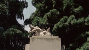 Fortini/Cani — foto 6