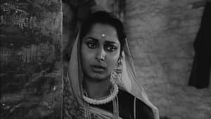 অভিযান — foto 5