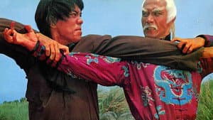 10 Brothers of shaolin — foto 2