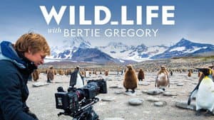 Wild Life with Bertie Gregory — foto 4