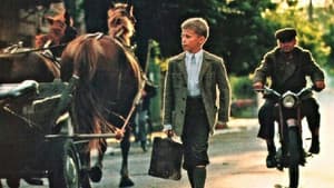Cwał — foto 2