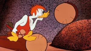Donald and the Wheel — foto 2
