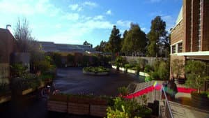 Junior MasterChef Australia — foto 1