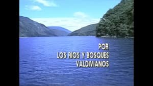 Episodio 9