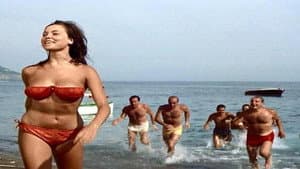 Leoni al sole — foto 1