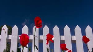 Blue Velvet: The Lost Footage — foto 11