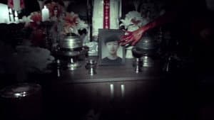 마루이 비디오 — foto 2