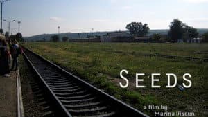 Seeds — foto 1