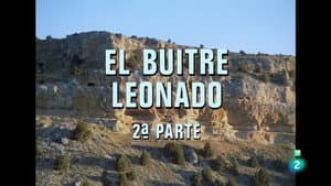 Episodio 31