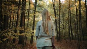 Elysia — foto 1