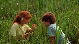 La inocencia del primer amor — foto 6