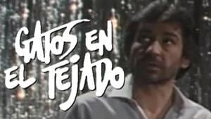 Gatos en el Tejado — foto 1