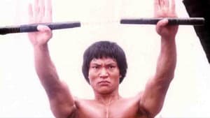 龍拳蛇手 — foto 1