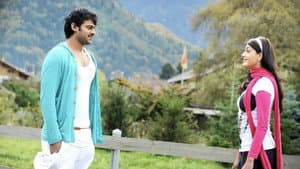 డార్లింగ్ — foto 11
