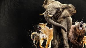 Reinas del mundo animal — foto 2