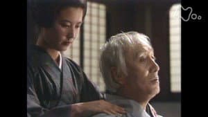 けものみち — foto 1