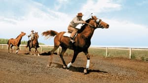 The Story of Seabiscuit — foto 4