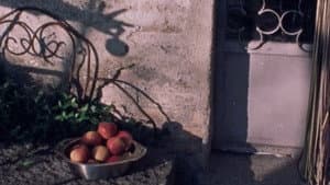 Ad una mela — foto 1