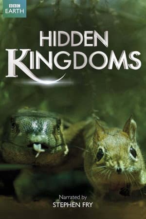 Temporada 1