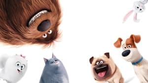 La vida secreta de tus mascotas — foto 4