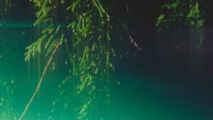 istén:’a — foto 1