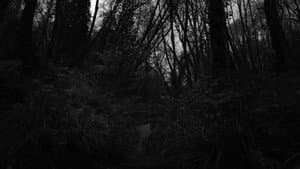 A Deed Without A Name — foto 1
