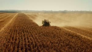 No Farmers No Food: Will You Eat the Bugs? — foto 5