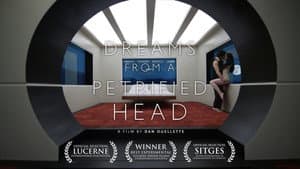 Dreams from a Petrified Head — foto 2