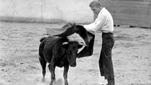 Bullfighter and the Lady — foto 1