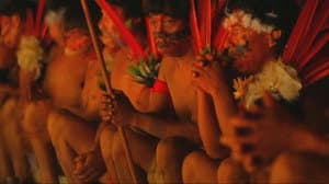 Xapiri — foto 1