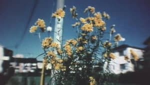 Motion Photograffiti — foto 5