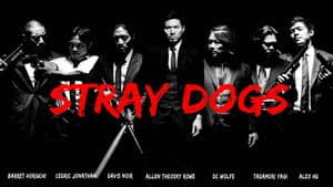 Stray Dogs — foto 1