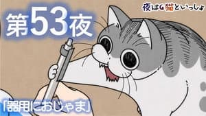 Episodio 53