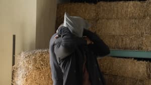 Episodio 79