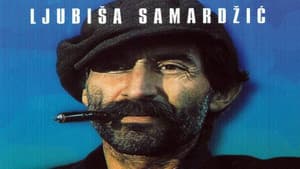 Savamala — foto 1