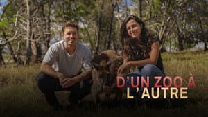D'un zoo à l'autre — foto 1