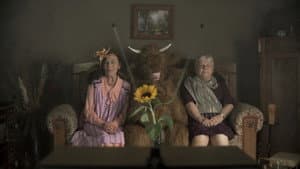 Ottilias Ochse — foto 1