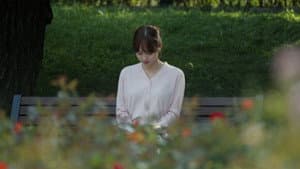 해바라기 — foto 1
