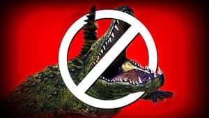 Bad CGI Gator — foto 2
