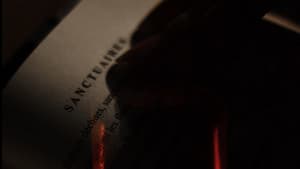 Aphonia — foto 3