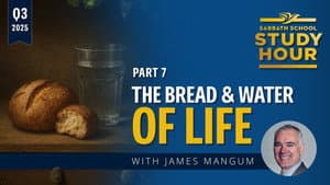 Episodio 7