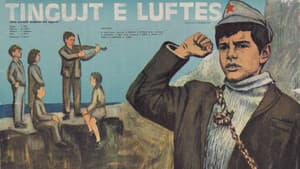 Tingujt e luftës — foto 2