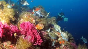 La Méditerranée révélée — foto 2